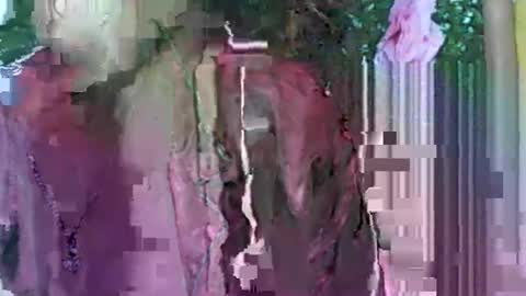 Snapshot of ladyxsnakes chatting on September 21, 4:03 am LadyXSnakes online show from September 21, 4:03 am