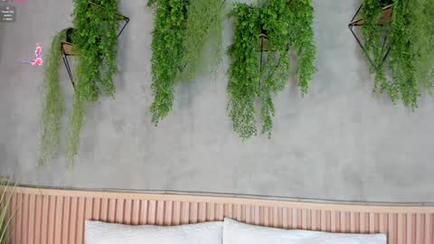 lana_lann online show from January 27, 11:43 am