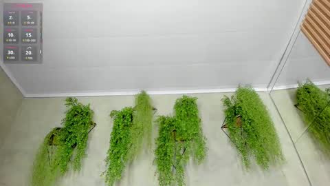 lana_lann online show from September 28, 11:48 am