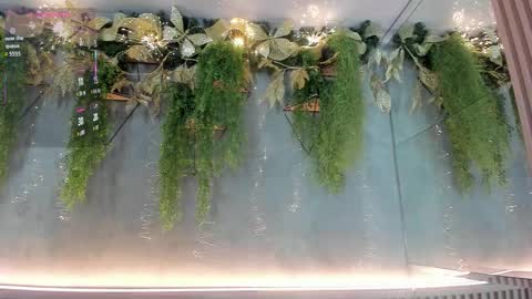 lana_lann online show from December 3, 12:36 pm