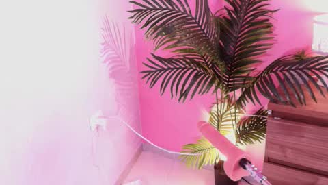 LANA online show from December 1, 4:17 am