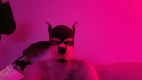 Snapshot of landosmith003 chatting on June 18, 9:14 am landosmith003 online show from June 18, 9:14 am