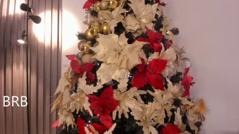 Tiana online show from December 19, 11:25 pm