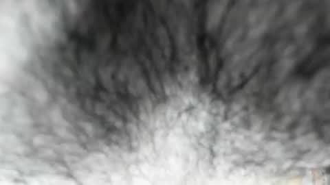 Snapshot of latinhotboys1 chatting on February 3, 8:08 am Zeus online show from February 3, 8:08 am