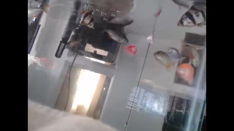 Snapshot of latinlover513 chatting on March 2, 10:16 pm latinlover513 online show from March 2, 10:16 pm