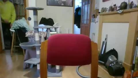 lauratedomm online show from March 8, 4:00 pm