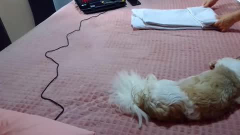 kelly online show from February 1, 7:23 pm