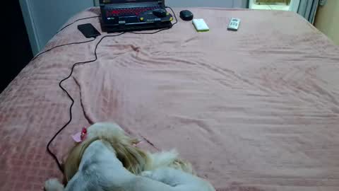 kelly online show from February 4, 11:27 pm