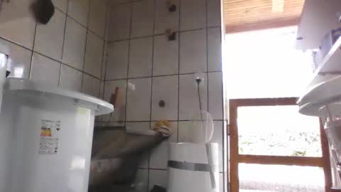 kelly online show from February 12, 4:22 pm