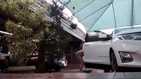 kelly online show from November 1, 7:27 pm