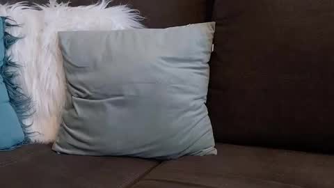 lazlow2000 online show from January 7, 7:44 am