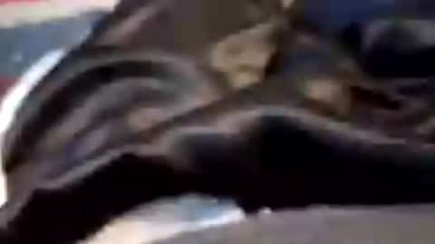 leatherpants68 online show from July 19, 8:12 pm