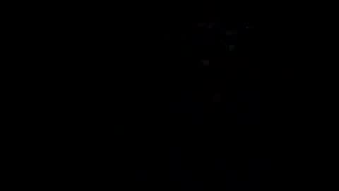 Gigi online show from December 21, 4:30 am