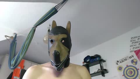 Snapshot of lederchris1403 chatting on July 8, 9:14 am Leather Dog online show from July 8, 9:14 am