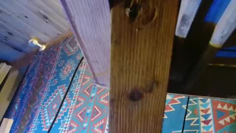 Dliciousman online show from December 19, 5:50 pm