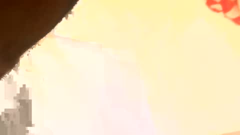 legal4 online show from March 11, 6:25 pm