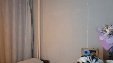 Mia online show from April 24, 2:30 pm