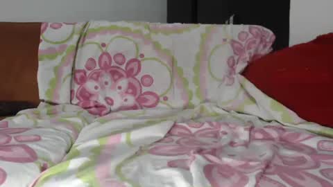 Snapshot of leishasoft1 chatting on February 25, 12:48 pm pamela online show from February 25, 12:48 pm
