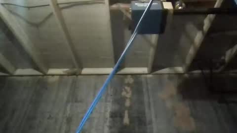 leo199984 online show from November 27, 4:47 am