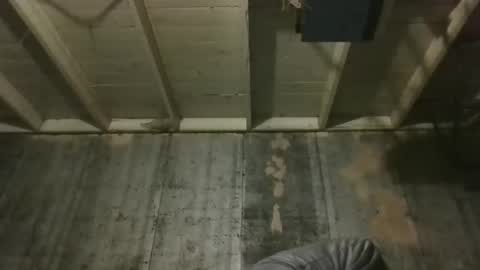 leo199984 online show from December 19, 3:24 am