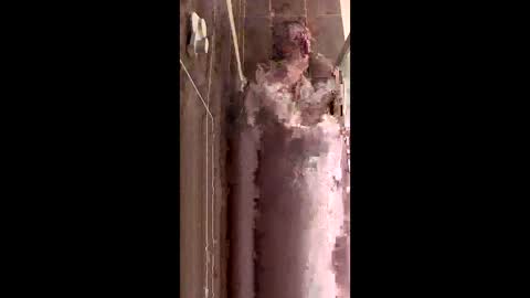 Rayne online show from December 19, 9:11 pm