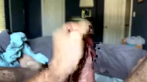 letmecumforyou71 online show from September 20, 12:50 pm