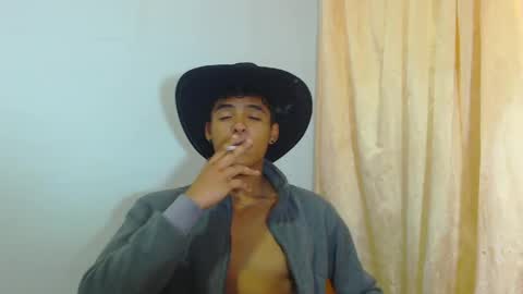 Snapshot of lewis_ly chatting on April 11, 5:17 pm i am lewis ly EDUARDO MEMDOZA15 online show from April 11, 5:17 pm