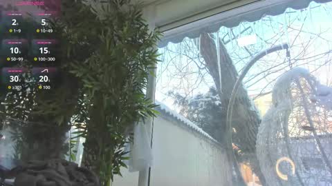 lexi_storm online show from January 12, 7:46 am