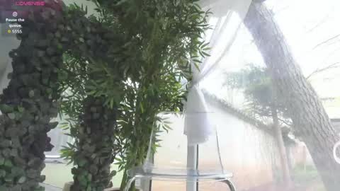 Snapshot of lexi_storm chatting on April 11, 7:56 am lexi_storm online show from April 11, 7:56 am