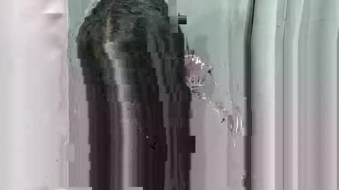 lhara_morena online show from December 18, 12:11 pm