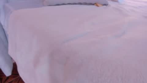 Liss 3 online show from December 21, 1:42 pm