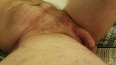 licam online show from October 17, 2:37 am