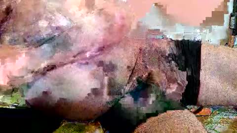 Snapshot of lickingover chatting on April 8, 11:32 am lickingover online show from April 8, 11:32 am