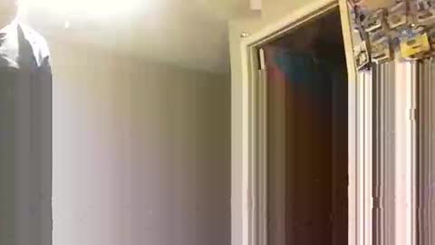 lie2ne online show from November 16, 3:50 pm