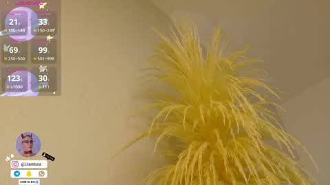 Snapshot of liiamluna chatting on April 15, 10:00 am Liiam Luna online show from April 15, 10:00 am