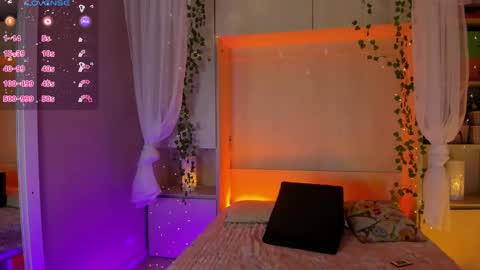         online show from February 3, 11:48 am