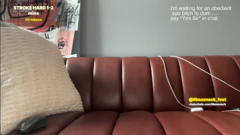 Snapshot of likeasnack chatting on April 15, 2:24 pm likeasnack online show from April 15, 2:24 pm