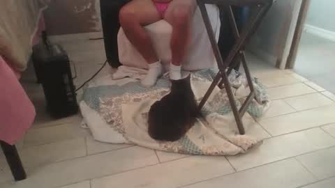 Snapshot of lildicksissy chatting on November 28, 5:59 pm lildicksissy online show from November 28, 5:59 pm