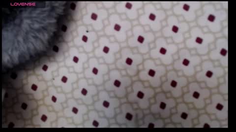 lildragon069 online show from December 7, 9:28 am