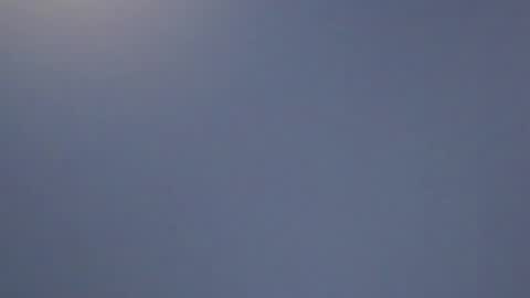 Snapshot of lillie_berry chatting on April 11, 8:18 am lillie_berry online show from April 11, 8:18 am