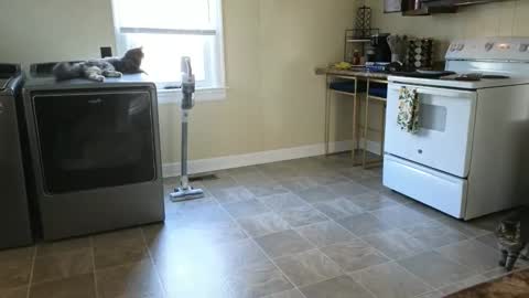 Snapshot of lilly_adams88 chatting on March 21, 9:51 pm lilly_adams88 online show from March 21, 9:51 pm