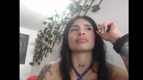 Snapshot of lilpalacio chatting on March 8, 8:14 pm lil palacio online show from March 8, 8:14 pm