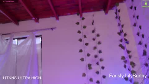 Fansly LilyBunny- help me reach 50 thumbs up online show from December 6, 10:19 pm