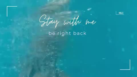 Lily online show from September 29, 11:48 am