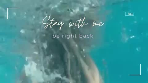 Lily online show from September 30, 7:02 am