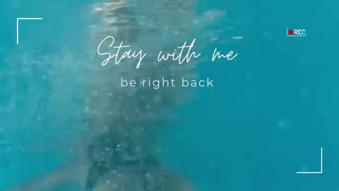 Lily online show from November 19, 12:27 pm