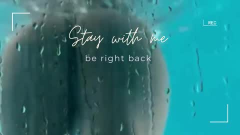 Lily online show from December 21, 6:31 am