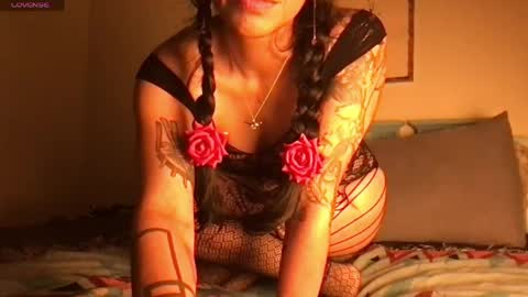 Little Lily online show from April 23, 5:30 am