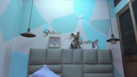 Lily online show from February 25, 8:03 am