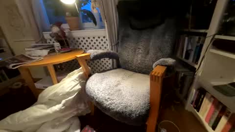 Snapshot of lingonkuk chatting on November 25, 6:35 am lingonkuk online show from November 25, 6:35 am